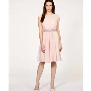 Coast Lori Lee Short A-line Dress in Soft Pink